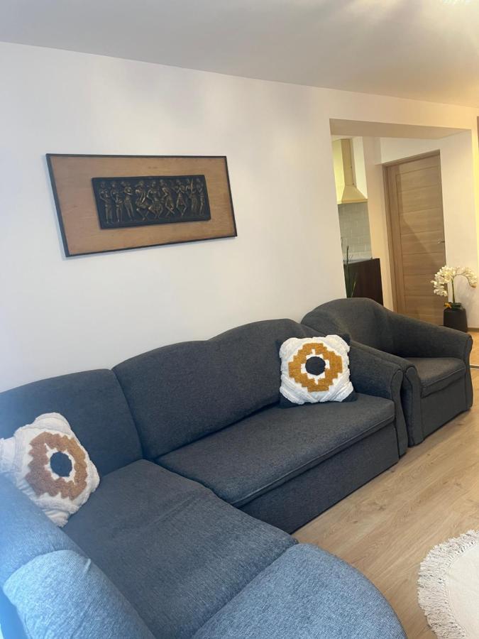 Roman Residence Apartment Borşa Eksteriør bilde