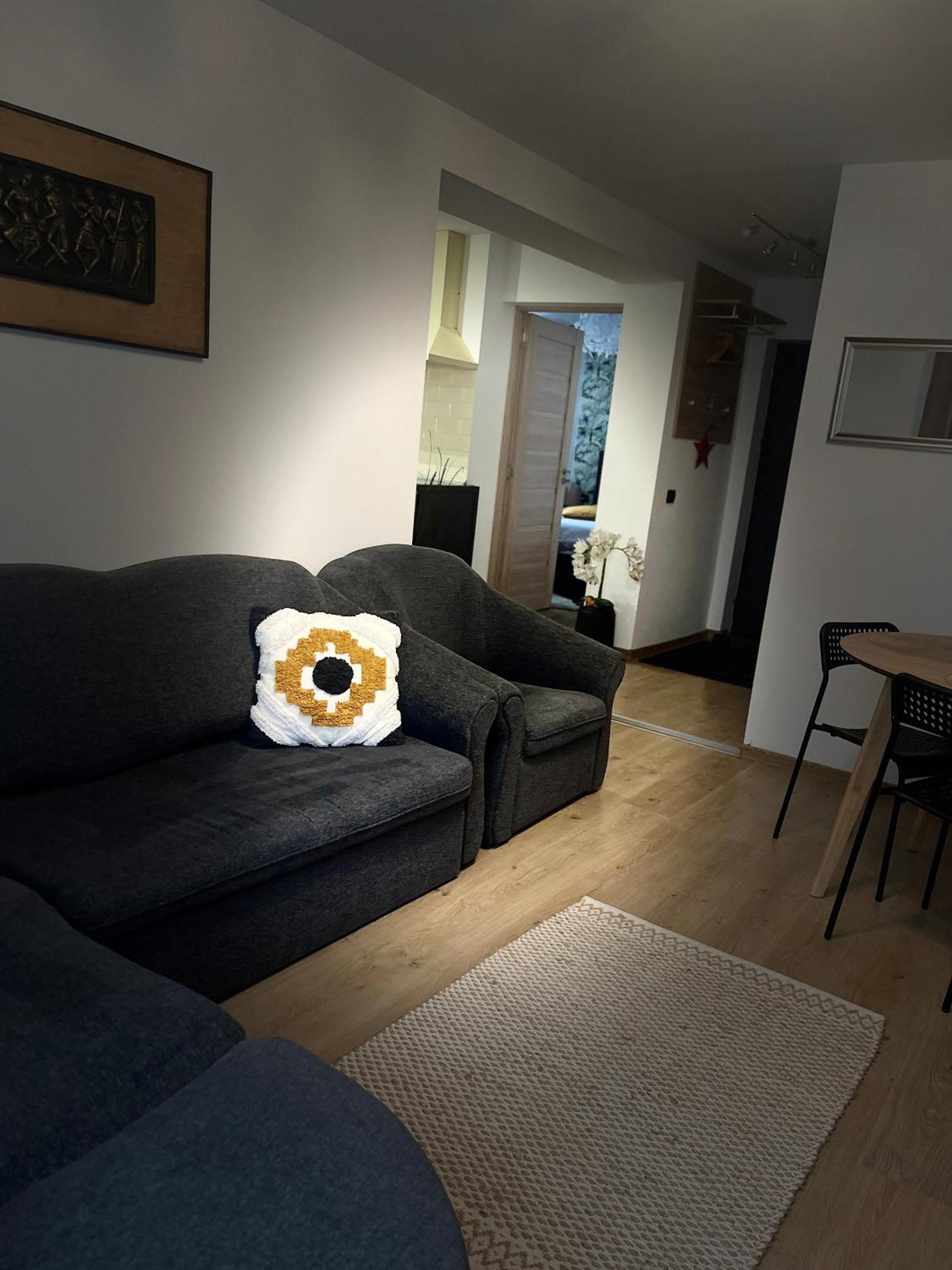 Roman Residence Apartment Borşa Eksteriør bilde