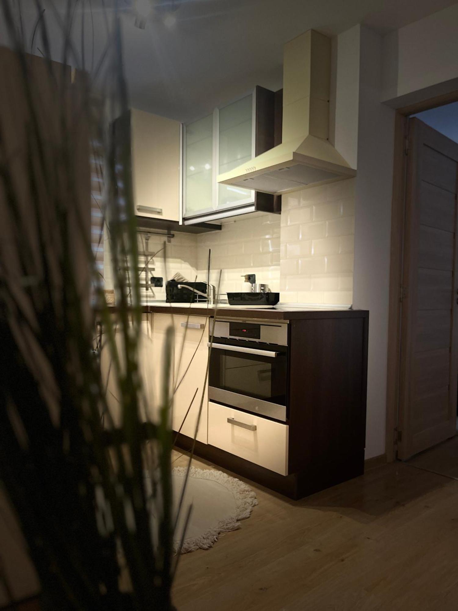 Roman Residence Apartment Borşa Eksteriør bilde