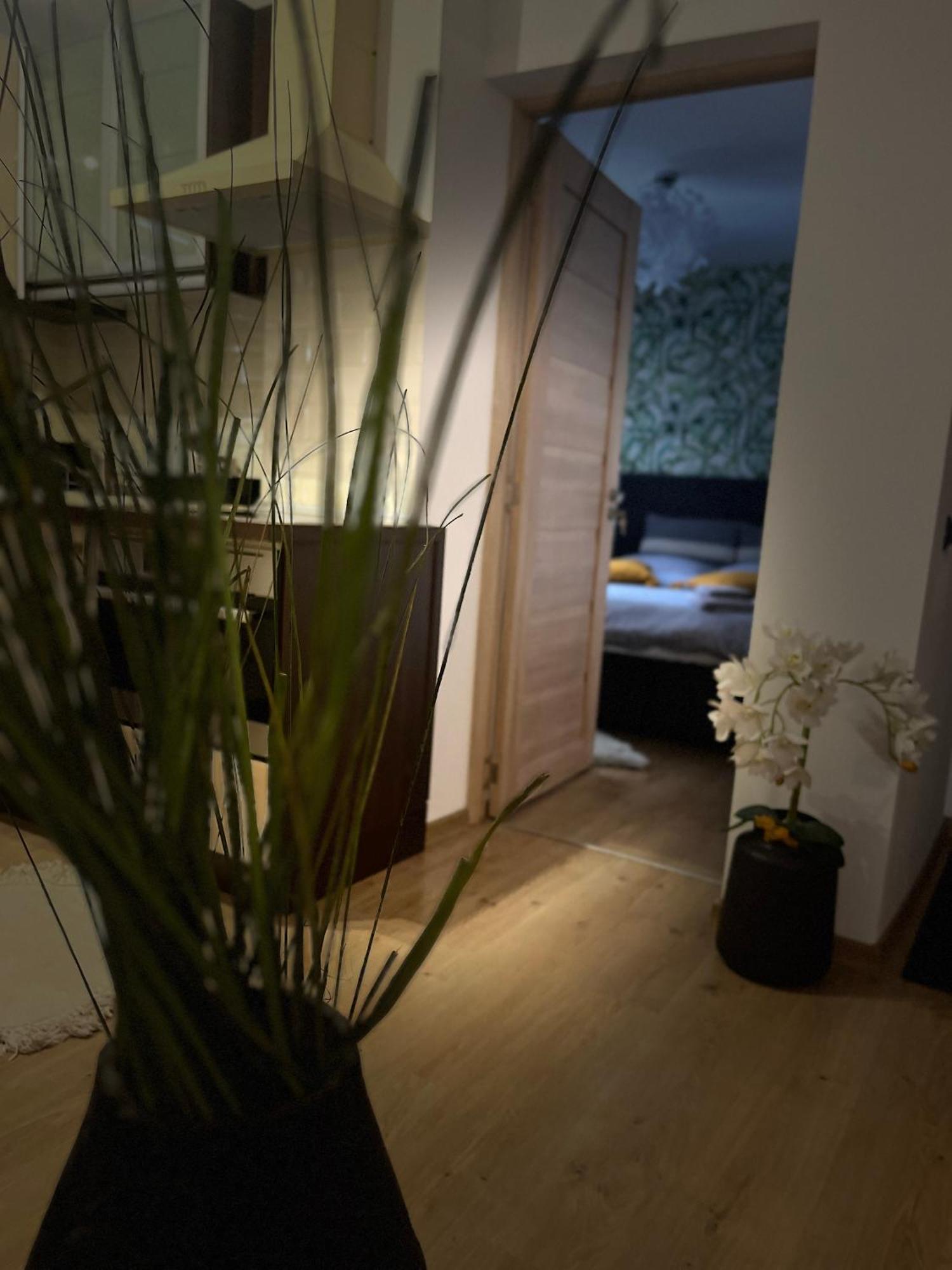 Roman Residence Apartment Borşa Eksteriør bilde